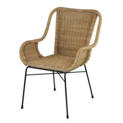 DA Palmview Rattan Armed Dining Chair